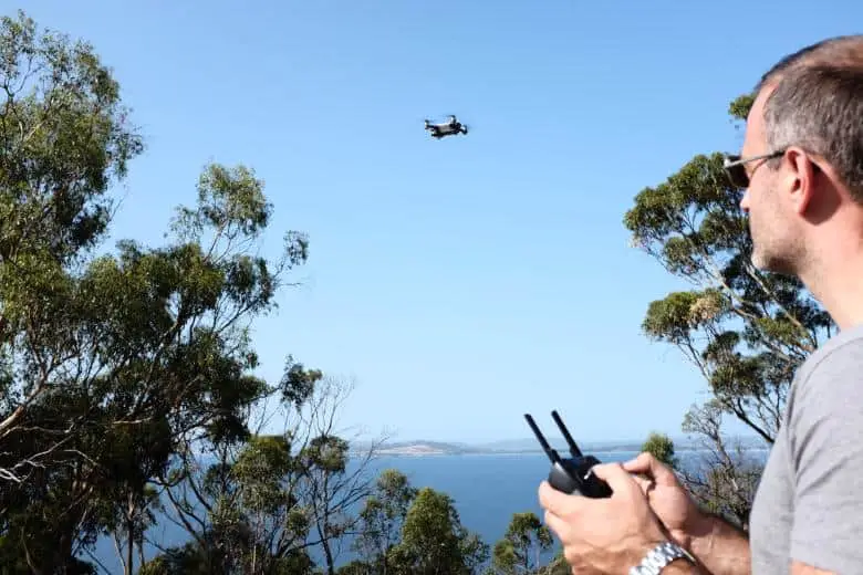 Flying between trees