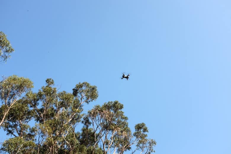 Flying by trees