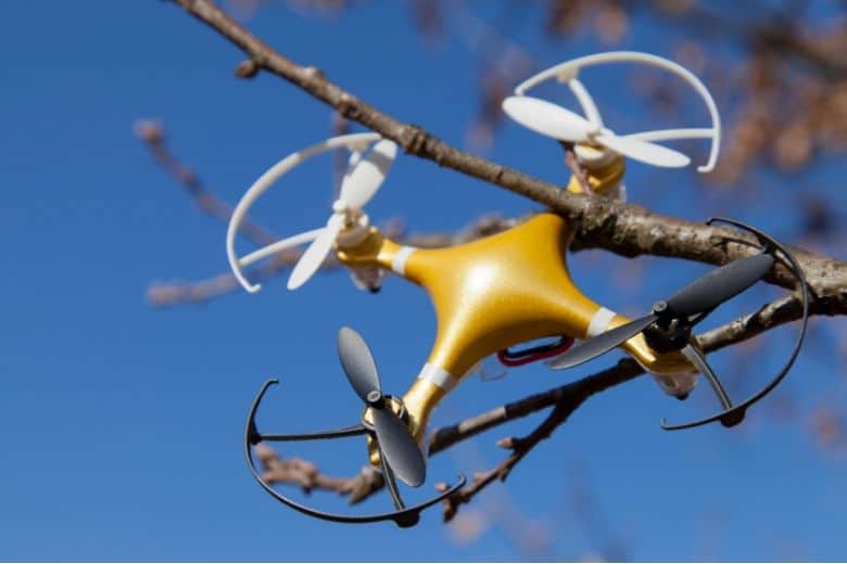 drone stuck in tree